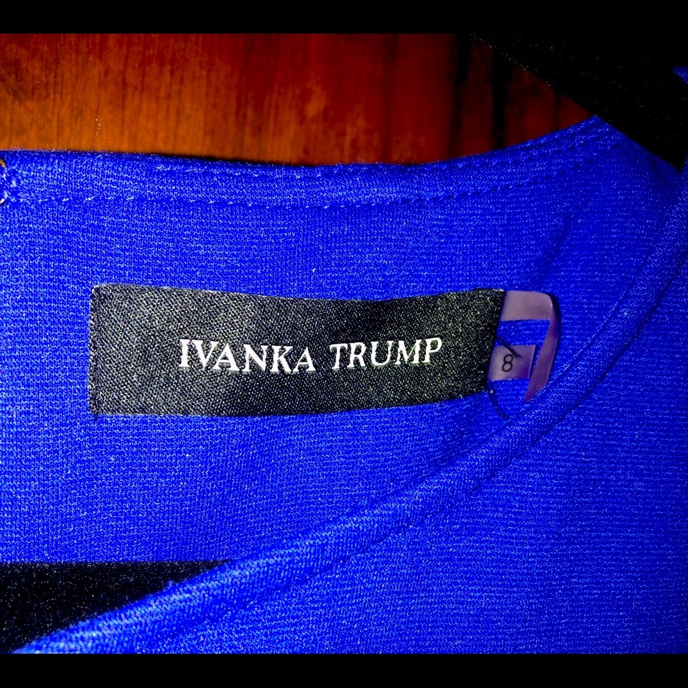 Blue Ivanka Dress - Picture 3 of 6